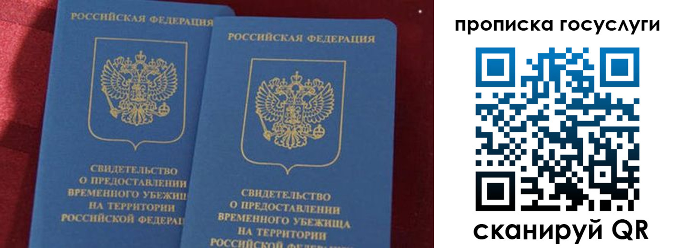 прописка гарантия в Воронеже